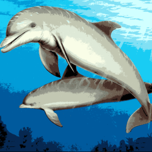 delfinek kivarrható gobelin (al 004) delfinek kivarrható gobelin (al 004)