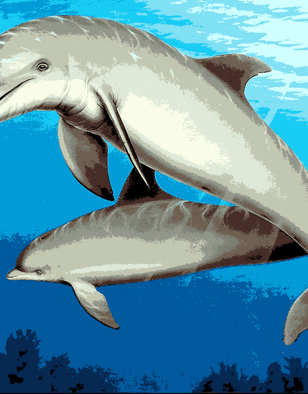 delfinek kivarrható gobelin (al 004)