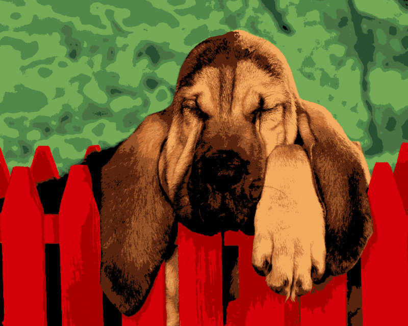 kutya kivarrható gobelin (al 014) kutya kivarrható gobelin (al 014)