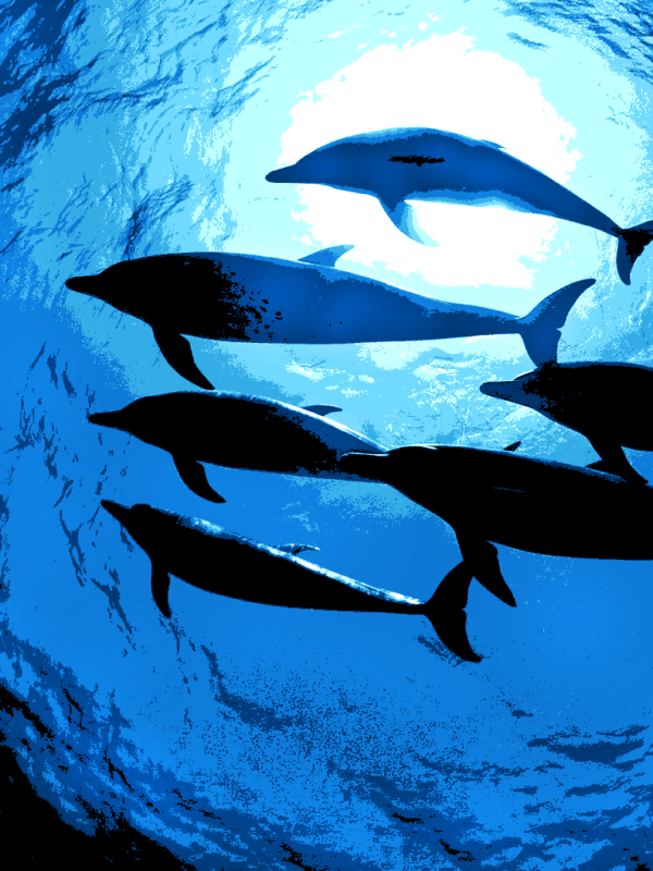 delfines kivarrható gobelin (al 015)