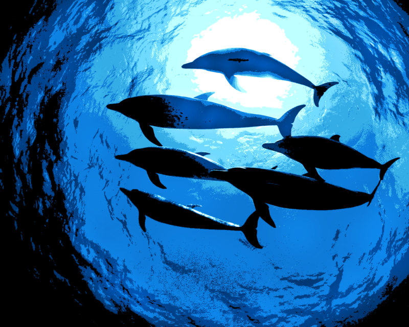 delfines kivarrható gobelin (al 015)