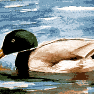 vadkacsa kivarrható gobelin (fe 058)