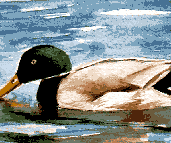vadkacsa kivarrható gobelin (fe 058)