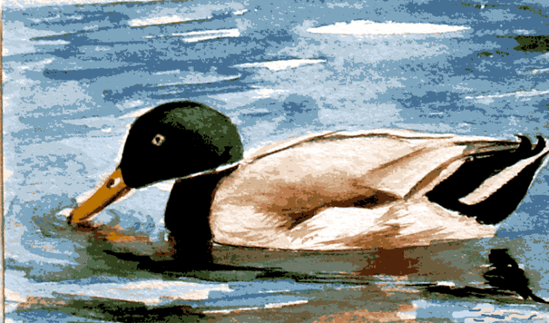 vadkacsa kivarrható gobelin (fe 058)