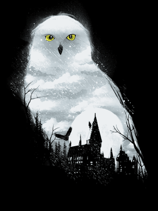 bagoly (harry potter) kivarrható gobelin (mg 216)