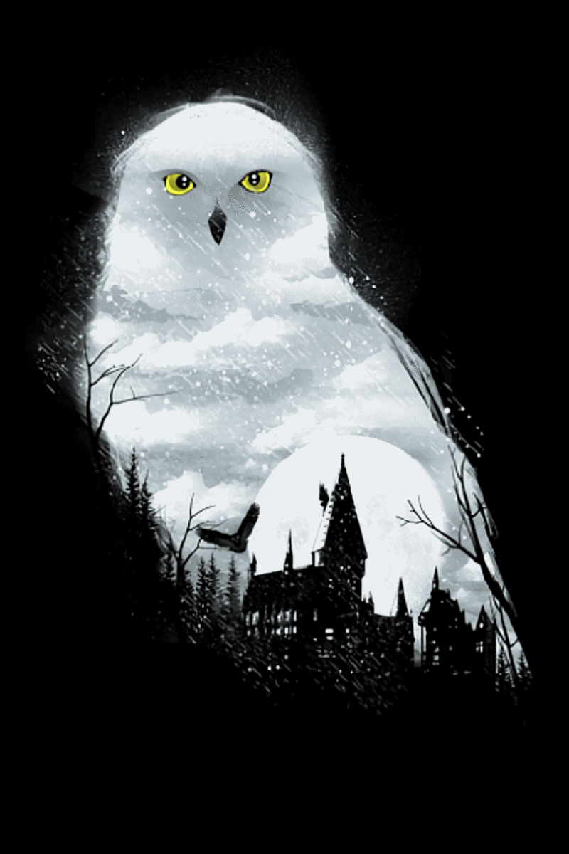 bagoly (harry potter) kivarrható gobelin (mg 216) bagoly (harry potter) kivarrható gobelin (mg 216)