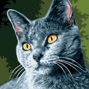 import placeholder for 28575
