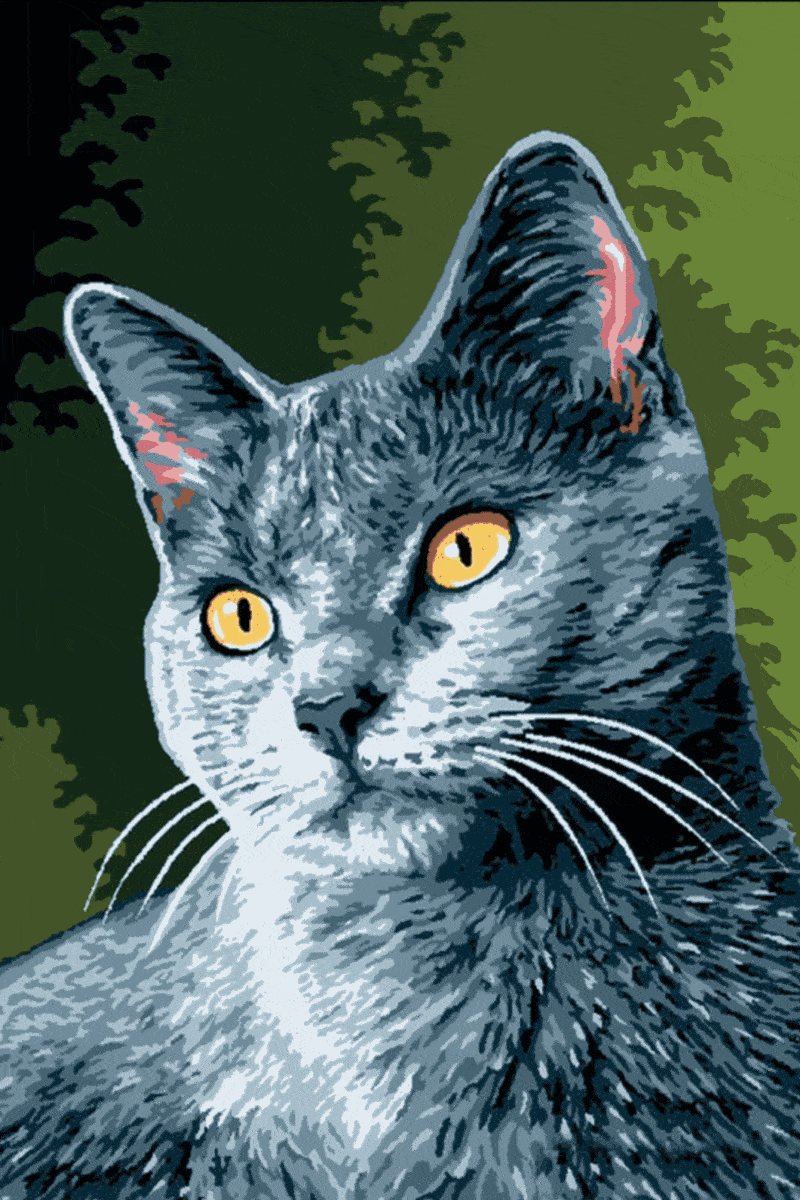 import placeholder for 28575