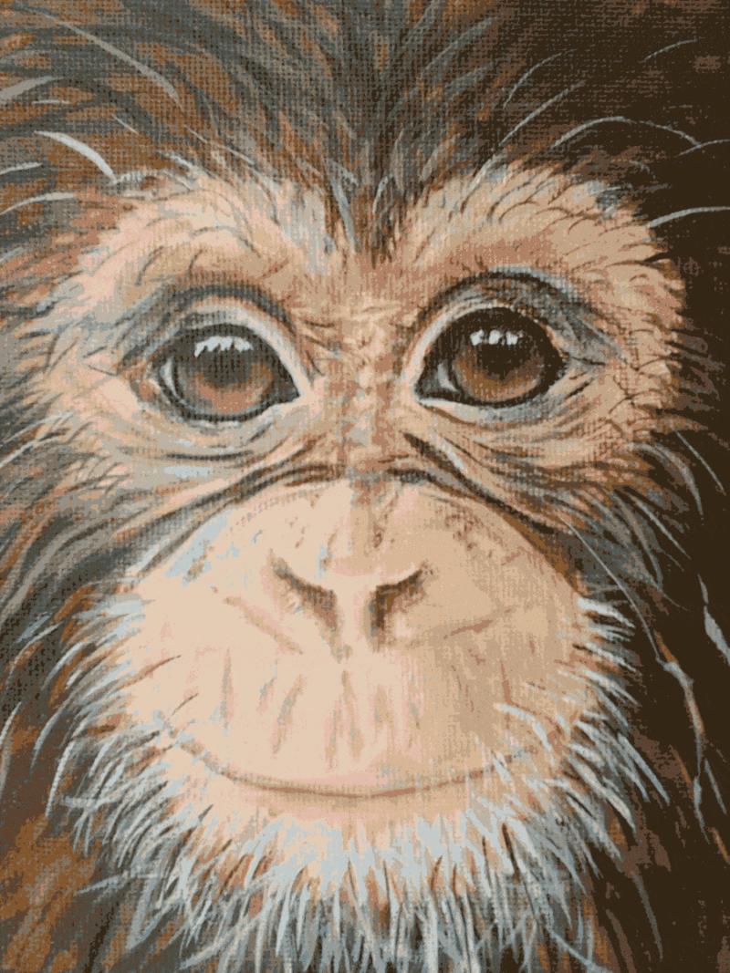 import placeholder for 25447