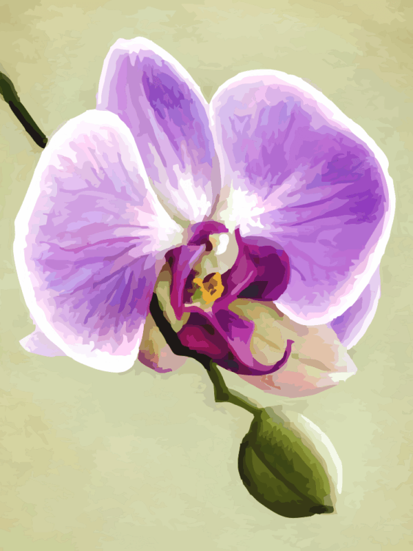 lila orchidea kivarrható gobelin (mg 112 a) normál alapon 20x20 cm