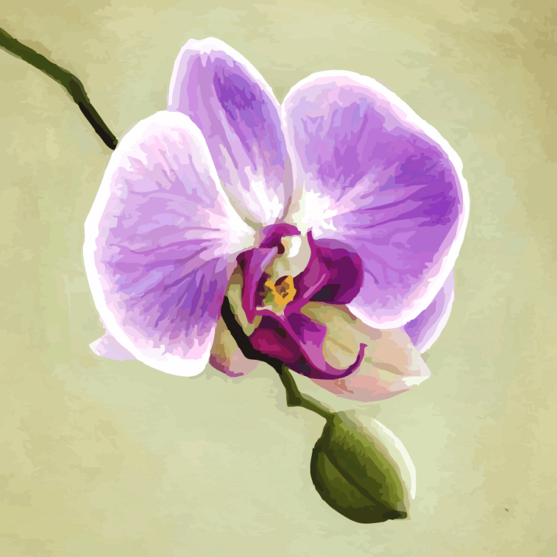 lila orchidea kivarrható gobelin (mg 112 a) normál alapon 20x20 cm