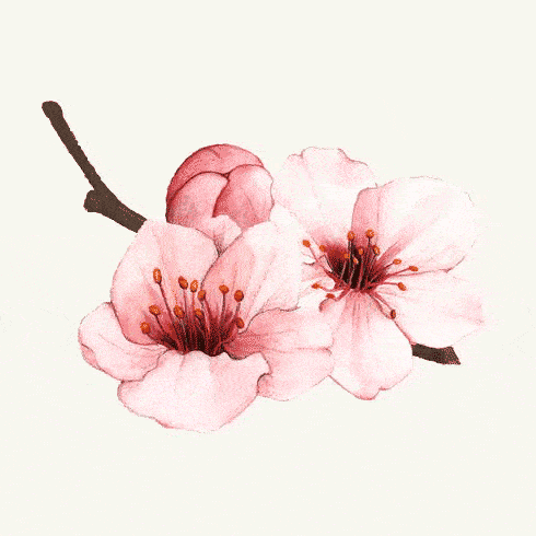 import placeholder for 28689