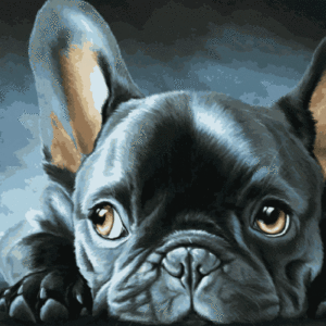 import placeholder for 41654