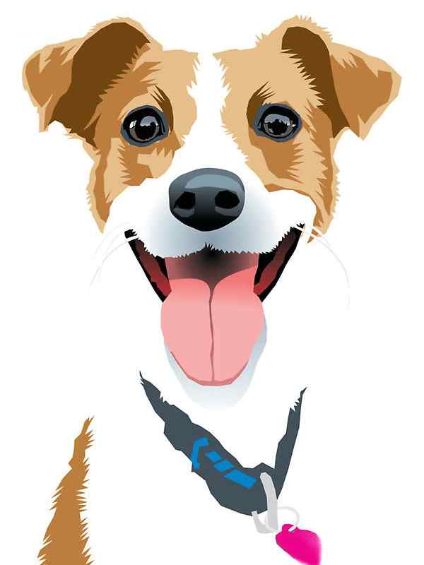 Jack Russell kutyus kivarrható gobelin (MG-403)