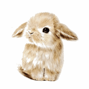 import placeholder for 25549