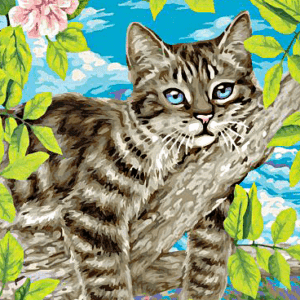 import placeholder for 41611