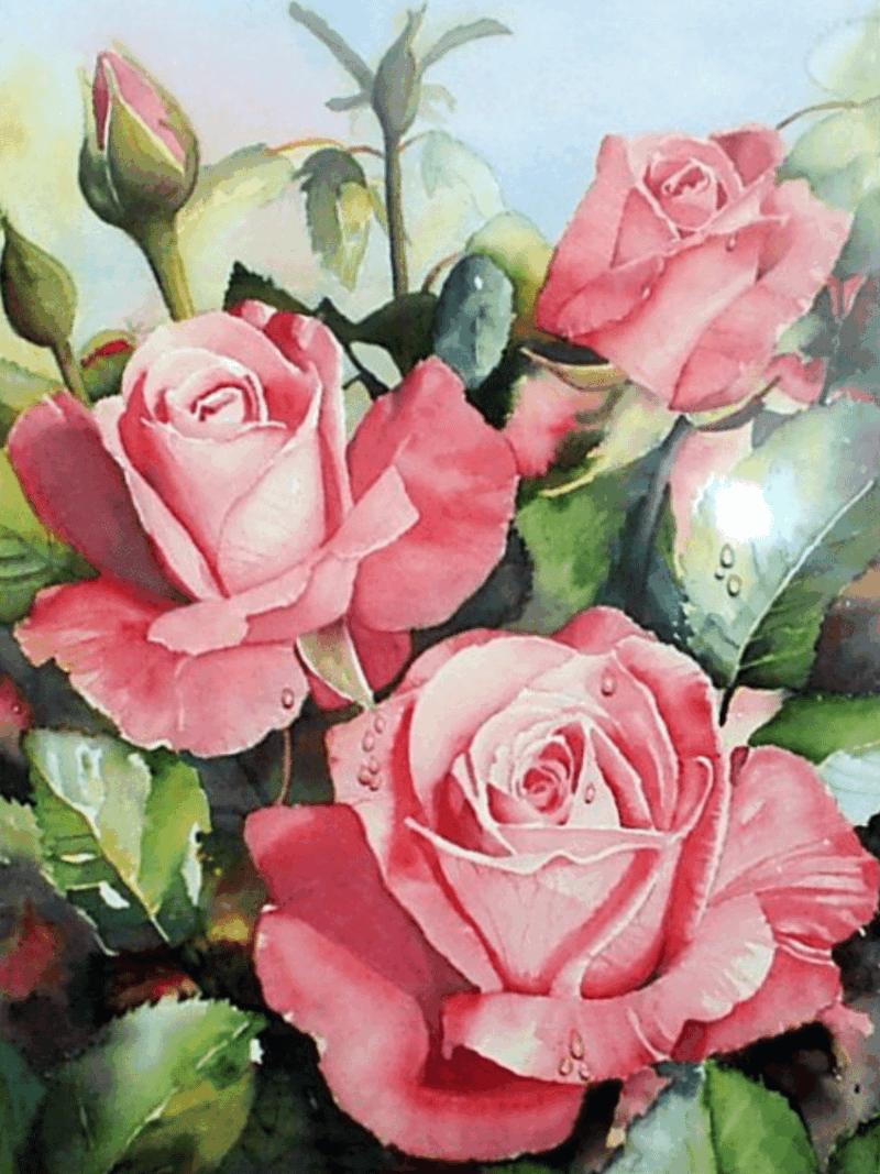 rózsabokor (mg 863 a) kivarrható gobelin tű alapon 22x30 cm