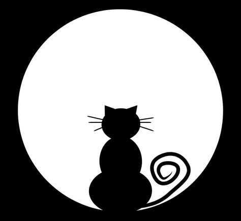 import placeholder for 19630