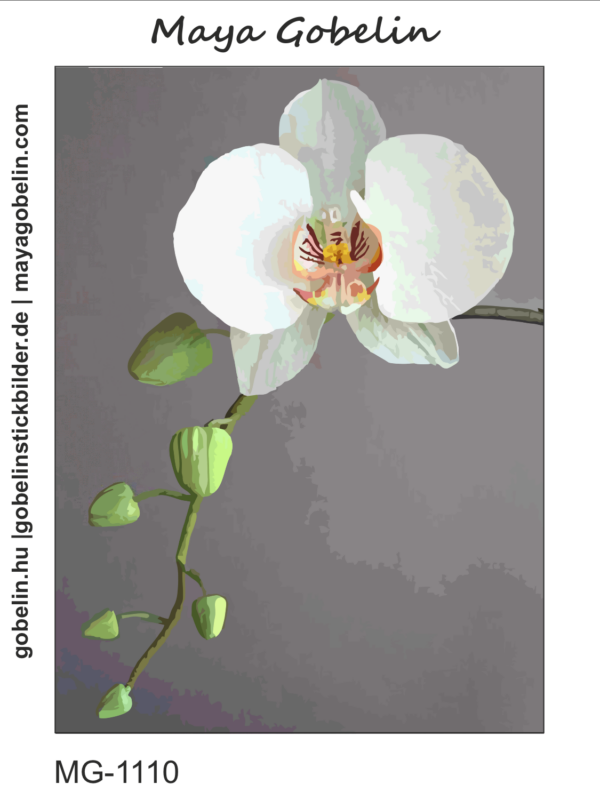 elbűvölő orchideák (mg 1110)