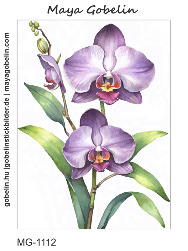 elbűvölő orchideák (mg 1110)