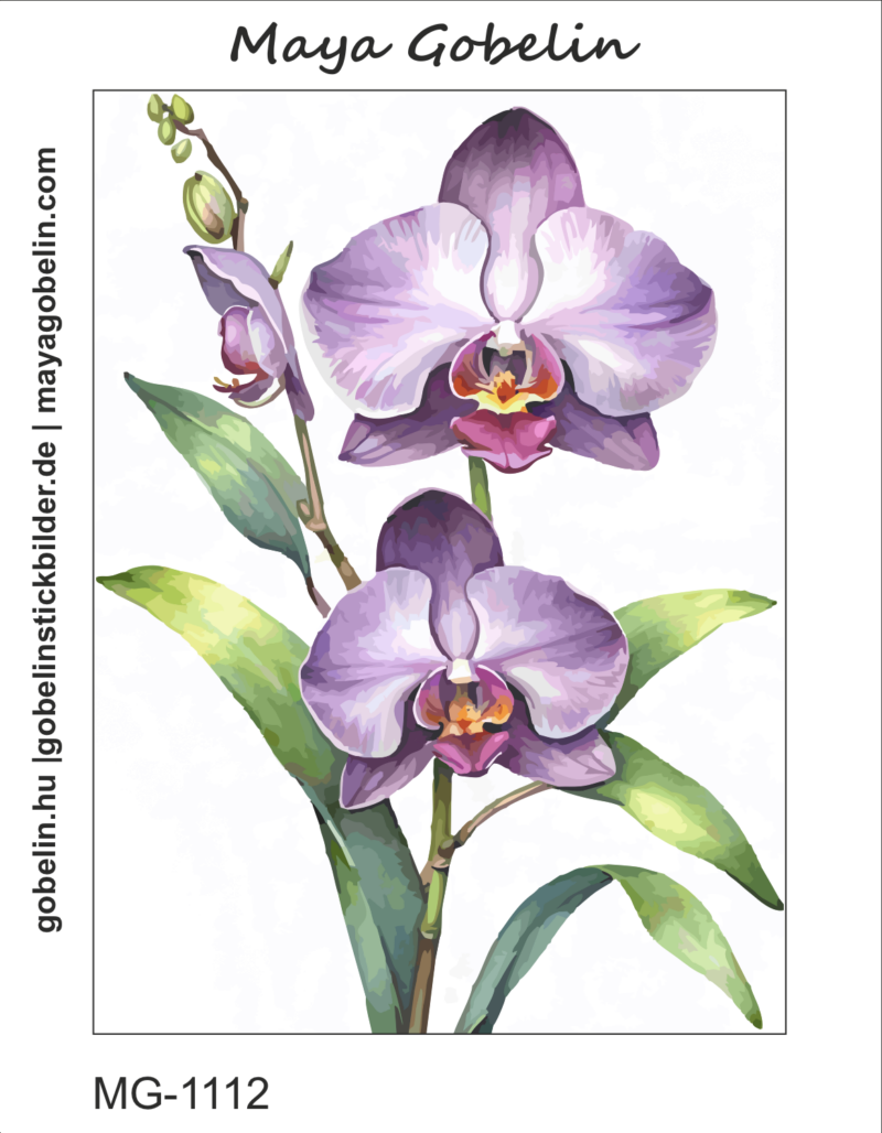 elbűvölő orchideák (mg 1110) elbűvölő orchideák (mg 1110)