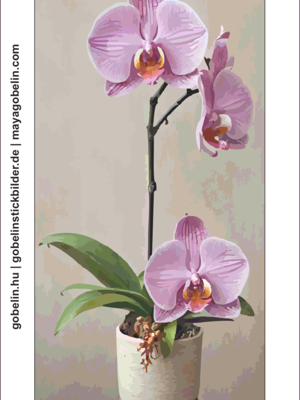 elbűvölő orchideák (mg 1110)