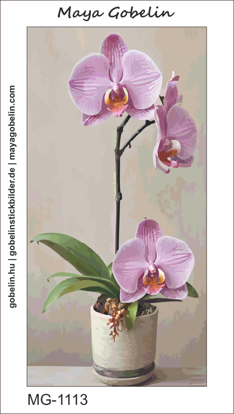 elbűvölő orchideák (mg 1110) elbűvölő orchideák (mg 1110)
